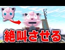 【検証あり】ポケモンを「ひとりで」絶叫トロッコに乗せてみた【 ぽこあポケモン / ぽこポケ 】
