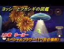 ヨッシーとフカシギの図鑑　１０章　ゆーほー　スペシャルフラワー（１つ目の場所）　＃２９０　【Switch2】