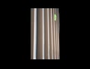 【自然】家に憑いたカエル