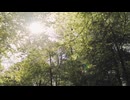 自然の動画desuyo