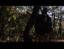 自然の動画なんだよ