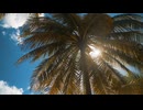 自然の動画なんだよ