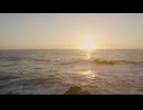 自然の動画なんだよ