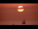 自然の動画なんだよ