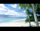 自然の動画なんだよ
