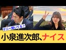 小泉進次郎防衛大臣がご遺族noteを見ろと全国放送で言及。沖縄の活動家連中、聞いてるか？