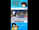 これがポケモンバトル