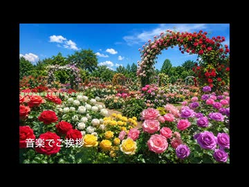 音楽でご挨拶