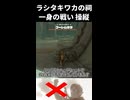 【ゾナウ禁止祠攻略】ラシタキワカの祠(一身の戦い 操縦)【ティアキン/制限プレイ/ゼルダの伝説ティアーズオブザキングダム】