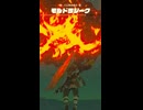 【ティアキン】パル荒地南のモルドラジーク ゼルダの伝説ティアーズオブザキングダム
