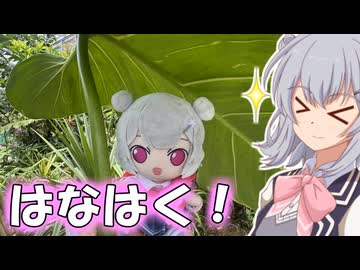 りっかのプチ旅行「来年の花博前に過去の跡地を見にいってみた！！」【小春六花】