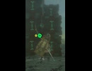 【ティアキン】雷鳴の島を守りしブロックゴーレム　ゼルダの伝説ティアーズオブザキングダム #ゼルダの伝説 #ティアキン #zelda