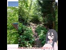 『みちのく潮風トレイル』歩いてきたPart4【中国うさぎ】