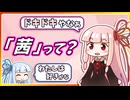 おねえちゃんの名前の由来を調べたよ【琴葉姉妹】