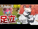 友達と遊ぶエアライダーは楽しいぞい12【カービィのエアライダー】