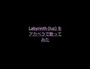 【アカペラ】Labyrinth ( luz ) リスペクト籠めて歌ってみた！！