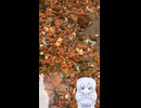 カニくんトライアングル