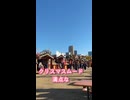 三澤さん秋のお散歩VLOG《shorts VLOG》