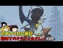 クラフィカ初登場 初めての封印戦記！part19【ゼルダ無双 封印戦記】【ゆっくり実況】