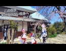 【CeVIO車載】この空が私の知らない世界へ続く路　福岡県　南畑ダム　佐賀県　宝珠寺のヒメシダレザクラ