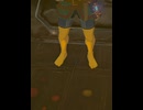【 BotW 】 ブーンｗｗｗ ( I'm airplane. Zoom! )【 ドリカラ 】#shorts
