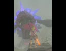 【 BotW 】ドラゴンに襲われる！ ( Dragon attack!  )【 ドリカラ 】#shorts