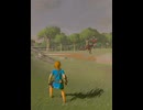 【 BotW 】馬よりもはやーい！ ( Faster than a horse! )【 ドリカラ 】#shorts