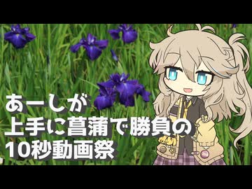 【第六回10秒動画祭】あーしが上手に菖蒲で勝負の10秒動画祭　～埼玉県上尾市丸山公園～【VOICEVOX旅行】