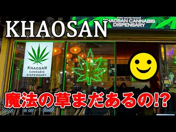 カオサンに潜入！魔法の草はまだあるの！？【男爵タイ旅行記2026】Part2