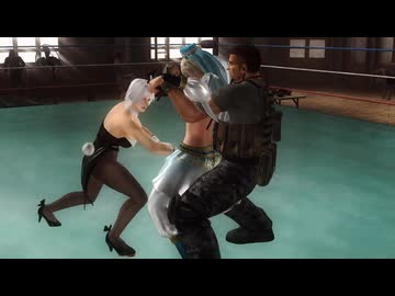【DOA5】王元姫 【リョナ】