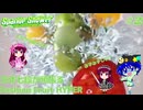 【beatmaniallDX #2】万年七段が頑張るFashion Fruit HYPER