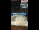 YMDD_356　今日のサラダ：トップバリュ：5種野菜とキャベツの千切り