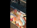 YMDD_358　ミニストップ：得々にぎり14貫