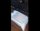 YMDD_379　わらく堂：北海道のわた雪みたいなレアチーズ