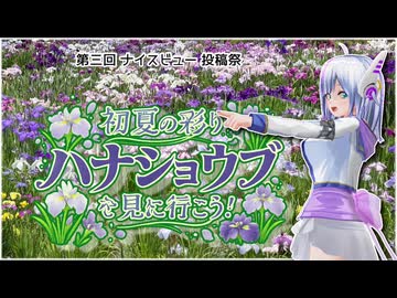 【第三回ナイスビュー投稿祭】初夏の彩り ハナショウブを見に行こう！【No.7】