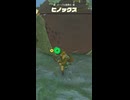 【ティアキン】メーブル高原のヒノックス　ゼルダの伝説ティアーズオブザキングダム #ゼルダの伝説 #ティアキン #zelda