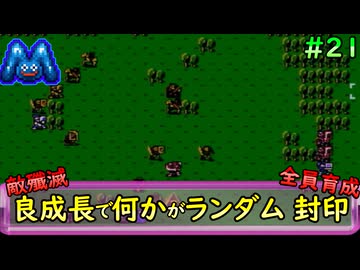 [ファイアーエムブレム 暗黒竜と光の剣]良成長でランダム封印縛り_Part21[ゆっくり実況][縛りプレイ]