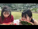 まめちゃん＆takoちゃんがスイカ割りに挑戦