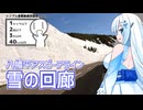 1キャラ縛りのレギュレーションをしっかり遵守する雪さん【シンプル車載動画投稿祭2026】