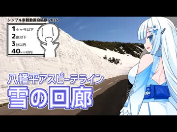 1キャラ縛りのレギュレーションをしっかり遵守する雪さん【シンプル車載動画投稿祭2026】