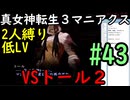 【真女神転生３マニアクス】低レベル＆２人パーティ縛り #43 VSトール（２回目）