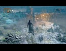 【 Bloodborne 】 #18