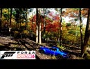 アマチュアフォトグラファーの行く【Forza Horizon 6】切り抜き_2　6/5放送