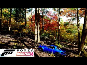 アマチュアフォトグラファーの行く【Forza Horizon 6】切り抜き_2　6/5放送