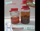 【WhiteCUL】1分でわかる(のか！？)雪さんクッキング その39：梅酒【VOICEVOX】