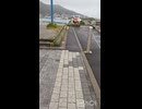 函館翌日！朝散歩からはじまり