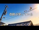 【MV】奇跡が笑ってる｜あなたの日常が奇跡にかもしれない！ AIオリジナル曲