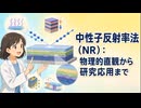 中性子反射率法（NR）：物理的直観から研究応用まで