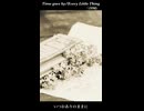 【歌まね】Time goes by／Every Little Thing【山瀬茜心】