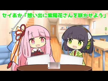 セイあか「想い出に紫陽花さんを咲かせよう」
